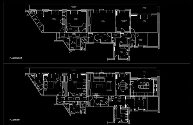 Projet Db 2023 Réhabilitation et réaménagement d’un appartement parisien de trois chambres - CB archi Catherine Benoit Architecte DPLG Le Pian-Médoc
